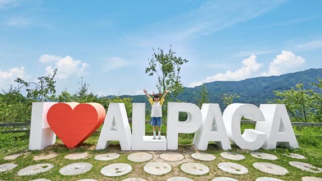 Eendaagse tour in de buurt van Chuncheon, Zuid-Korea | Alpaca Farm + Railbike