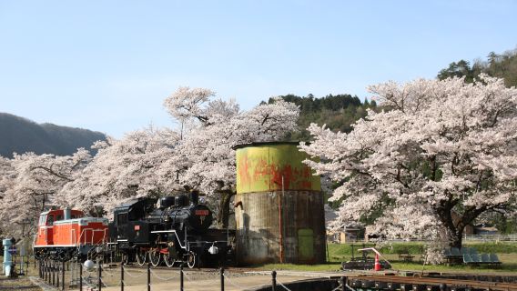 Tottori City Pass|Enjoy Tottori|Tottori Fun Pass 1 Week Free Pass