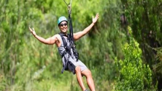 Avventura in zip-line e snorkeling con i delfini a Oahu, Honolulu, Stati Uniti 166955