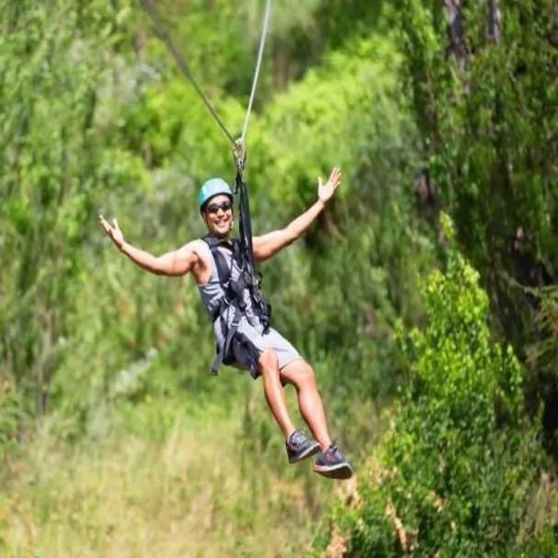 O‘ahu Zipline & Dolphin Snorkeling Adventure in Honolulu, USA 166955