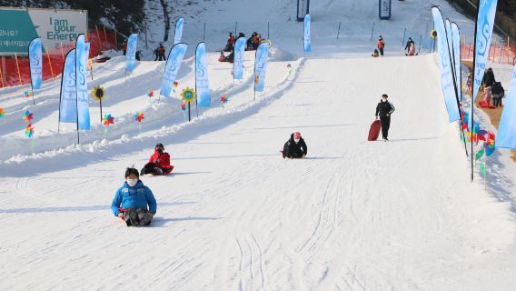 Tour invernale di un giorno da Seul: raccolta delle fragole, valle di Eobi e slittino