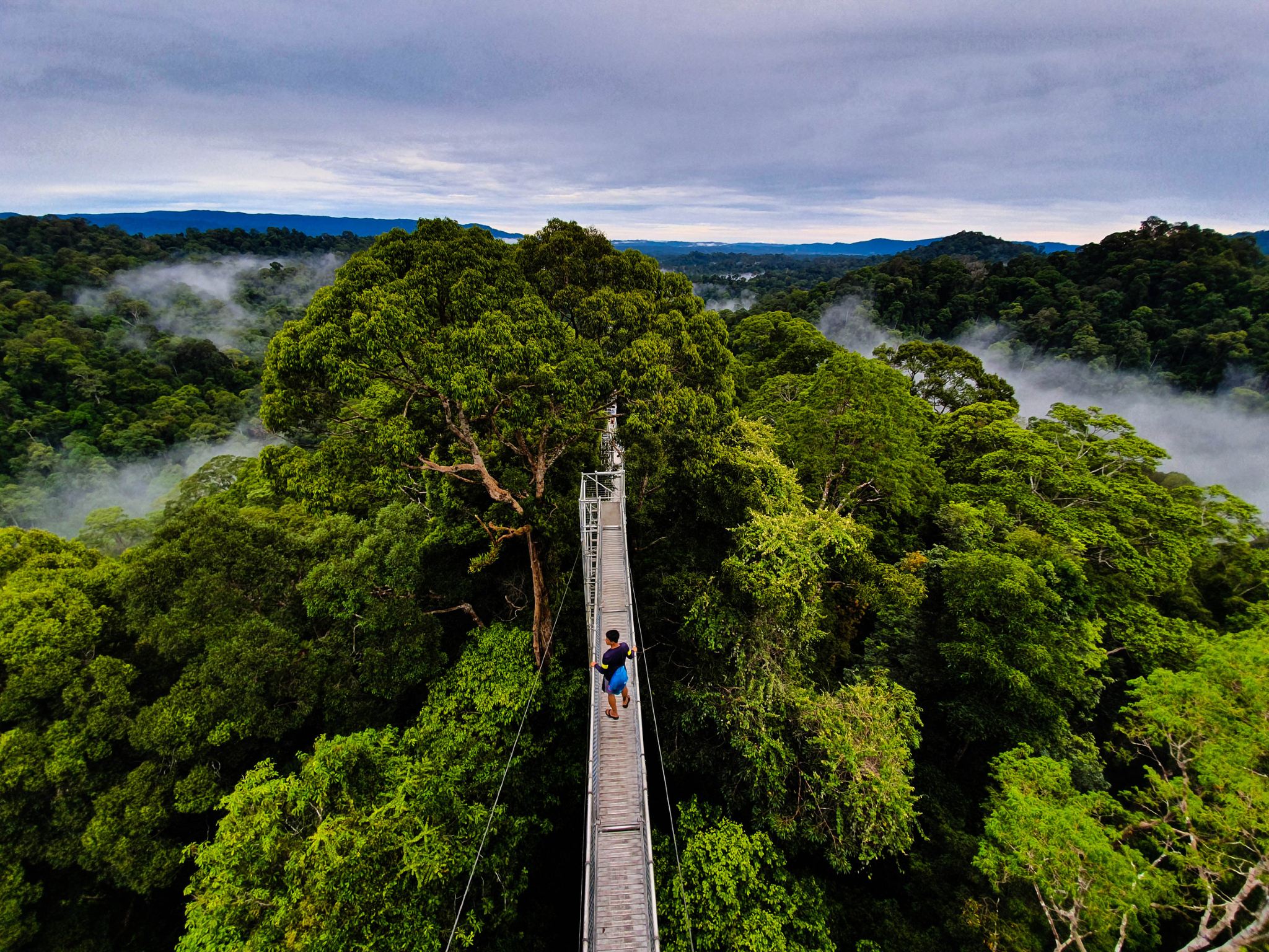 Full-Day [BRUNEI] Ulu Temburong National Park: Temuai + Canopy Walkway + Therapy Fish (8H)