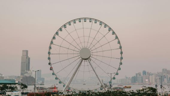 ทัวร์เดินชมฮ่องกง ทัวร์ครึ่งวันกลางใจเมือง ทัวร์กลุ่มเล็กแบบบูติก เรือเฟอร์รี่สตาร์ + ชิงช้าสวรรค์ + วัดหม่านโม่ + ถนนมัสยิด