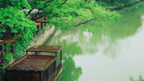 Tour di un giorno con autista privato a Shanghai: Attrazione Haiyan Qiyuan + Meihuazhou