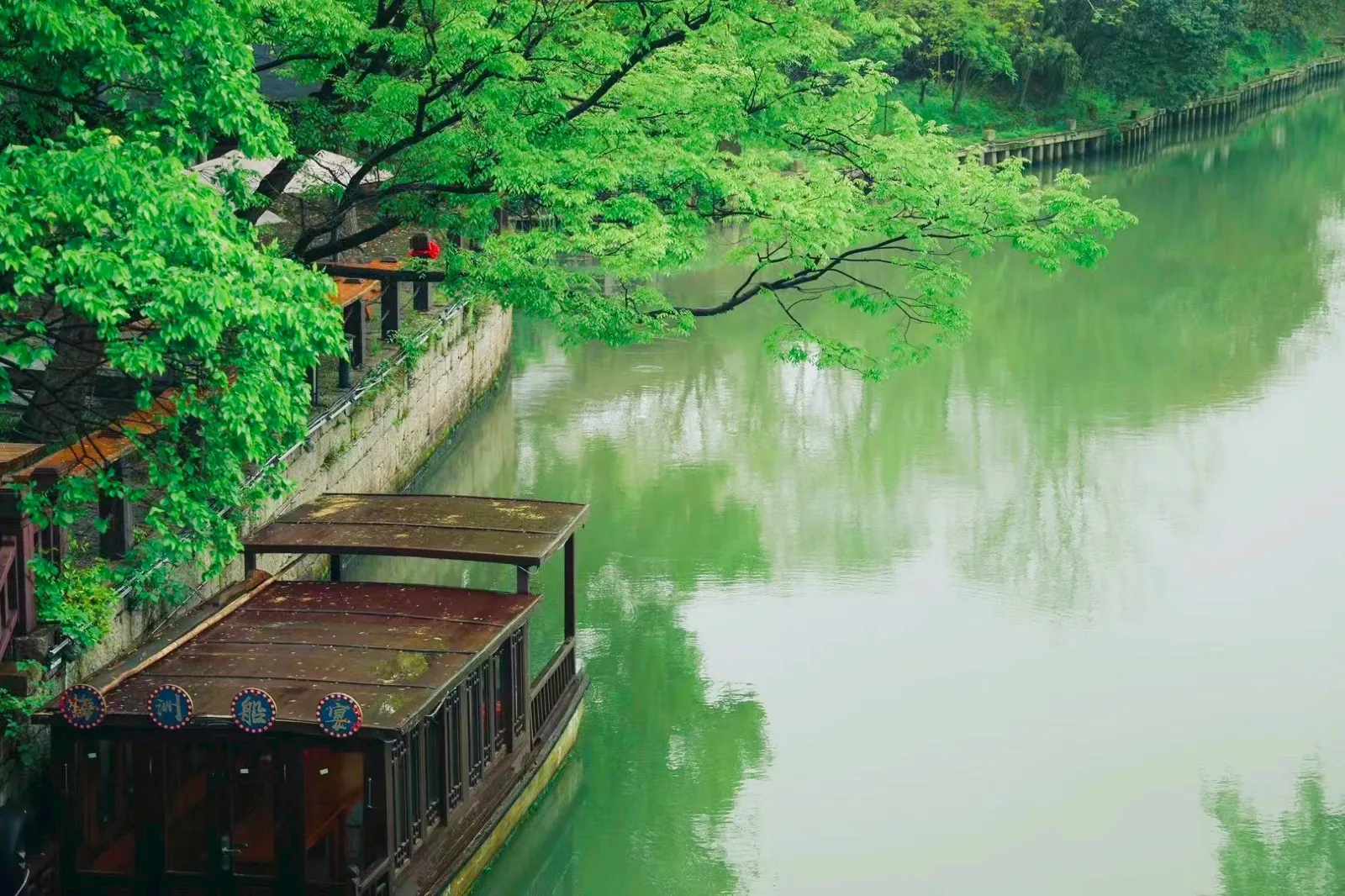 Shanghai private charter 1-day tour: Qiyuan Scenic Area in Haiyan + Meihuazhou