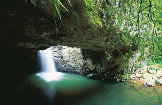 春溪國家公園+雙子瀑布+自然橋一日遊【中文司導】