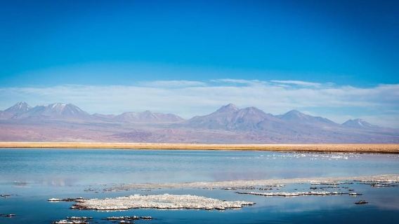 Cejar Lagune, Ogen van de Zoutvlakte en Tebinquinche Lagune