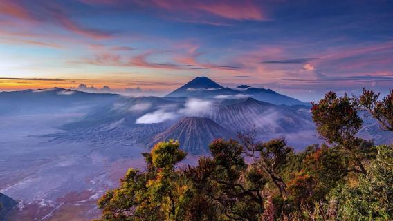 Epic Bromo: Sunrise Viewpoint & Volcanic Sand Sea Jeep Ride