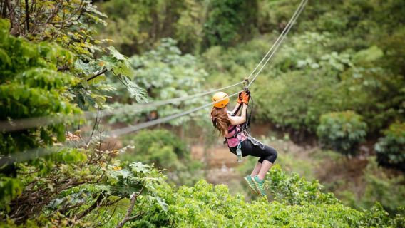 Toro Verde: Zipline + Quái thú với phương tiện di chuyển