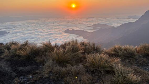 Drakensberg: เดินป่าเต็มวันจาก Via Ferrata ไปยังน้ำตก Tugela