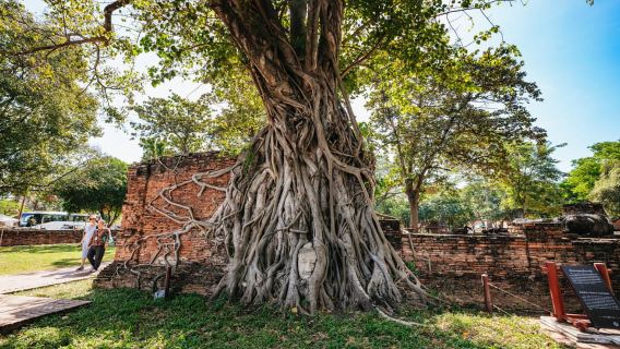 Ab Bangkok: Führung zu den Tempeln von Ayutthaya mit Mittagessen
