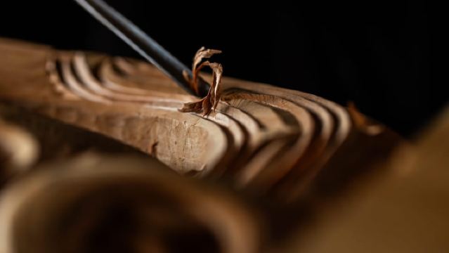 Te Puia: tour guiado de un día por Te Rā