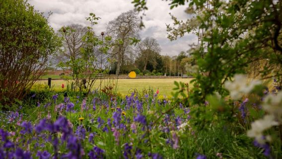 Thirsk Hall : billet pour le jardin de sculptures