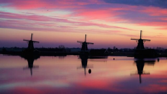 Amsterdam: Zaanse Schans, The Hague & Rotterdam Tour