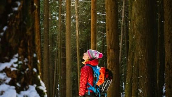 Chamonix: Raquetas de nieve con degustación de quesos y vinos locales