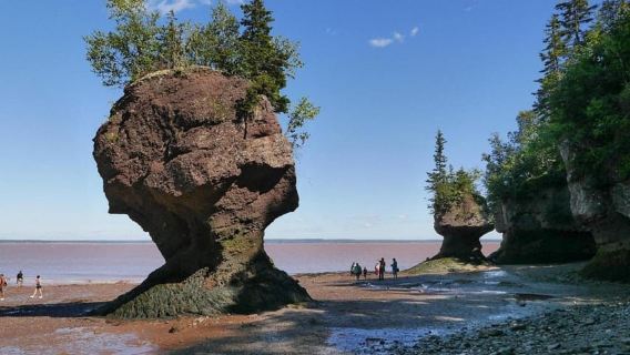 Hopewell Cape: Entrada a Hopewell Rocks