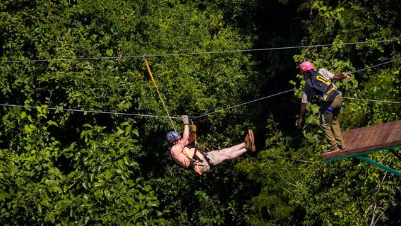 Victoria Falls: Canopy Tour with Transfers