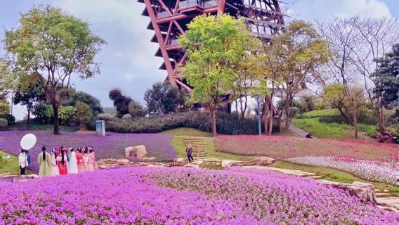 中國廣西南寧園博園/飯店接駁，行程定制