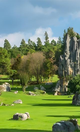 Kunming English-Speaking Group Tour: Stone Forest Scenic Area + Jiuxiang Scenic Area Day Trip (Includes Transportation and Admission Tickets)