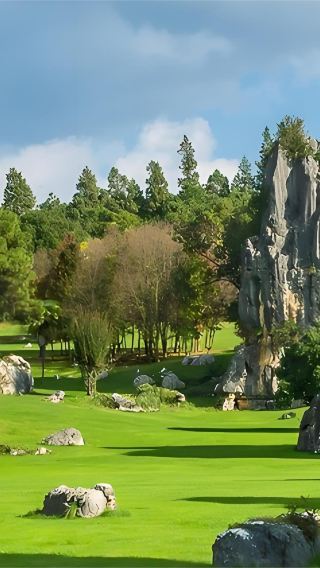 Kunming English-Speaking Group Tour: Stone Forest Scenic Area + Jiuxiang Scenic Area Day Trip (Includes Transportation and Admission Tickets)