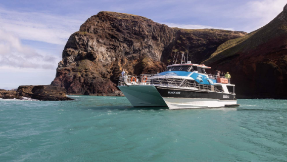 Öko-Kreuzfahrt im Hafen von Akaroa