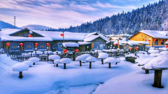 【中國雪鄉②日】遊大禿頂子山+夢幻家園