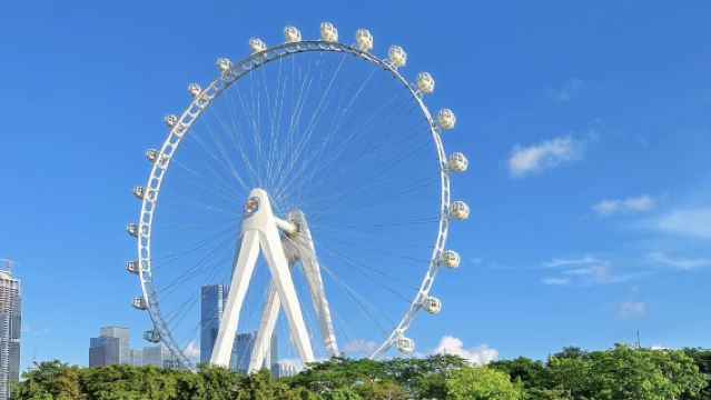 私家小團上門接駁|深圳博物館+歡樂港灣+南頭古城+蓮花山公園一日
