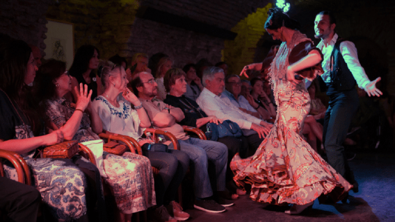 Seville: Flamenco Dreams Show with Drink in an Arabic Vault