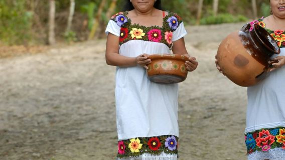 Ruinen von Cobá, Punta Laguna & Cenote: Geführte Tour, Transfer von Tulum + Mittagessen
