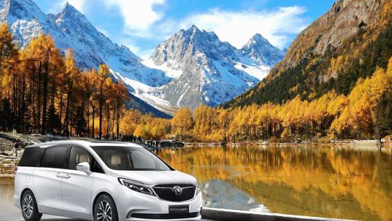 Private private chartered tour to Bipenggou (departing from Chengdu)