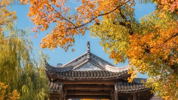 杭州出發：桐鄉濮院古鎮+羊毛衫批發市場一日遊