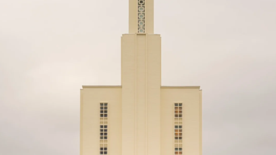 新西蘭奧克蘭出發：漢密爾頓一日遊【行程可調】