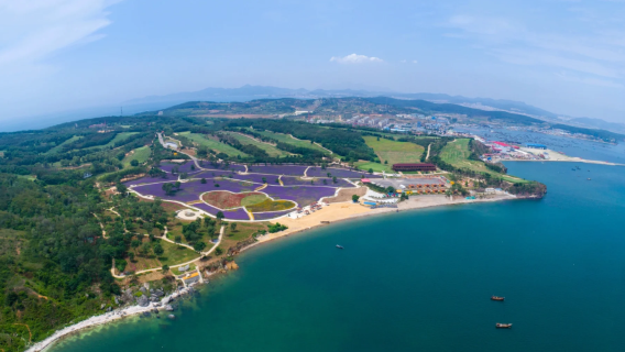 【6人小團】大連金石灘純玩1日遊