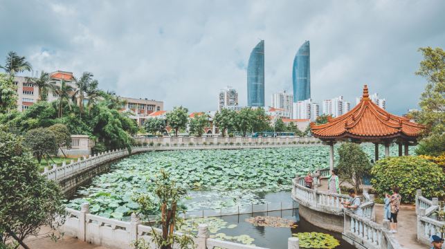 鼓浪嶼+南普陀寺，專人帶隊講解，解鎖廈門雙經典景點