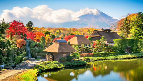 Japan Bus Ticket: Direct Electronic Ticket from Shinjuku to Oshino - Quick Ticket Issuance, No Exchange Required