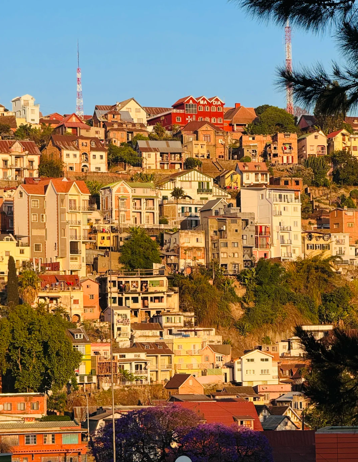 馬達加斯加境內/導遊導覽/地陪導遊/商務翻譯/展會翻譯/溝通無障礙