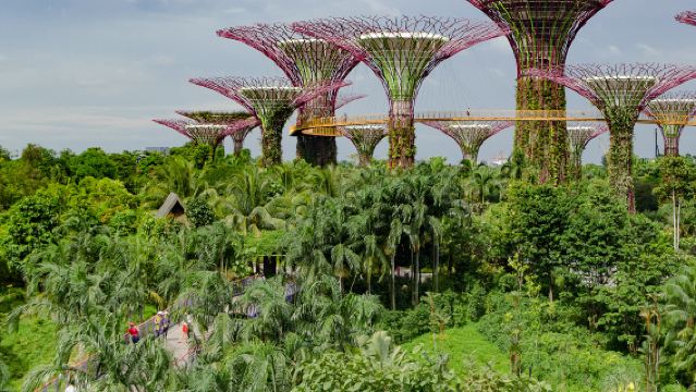 新加坡濱海灣花園+魚尾獅公園+新加坡動物園+牛車水-中文司機