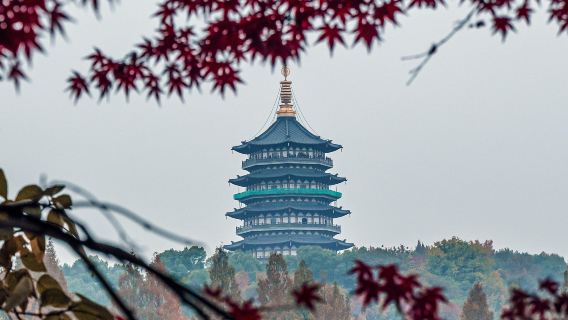 靈隱飛來峰景區-靈隱寺-龍井村-蘇堤-三潭印月-花港觀魚