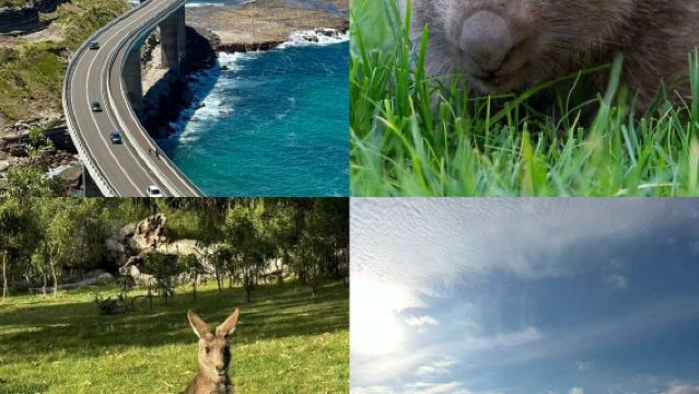 Lawatan Sehari Sydney Selatan Kiama & Gerringong & Lembah Kanggaru