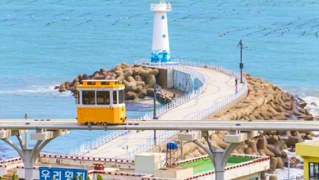 Excursión de un día a Busan | Parque Blue Line de Haeundae + Playa de Haeundae & Aldea Cultural de Gamcheon + Vista nocturna de la Isla Songdo