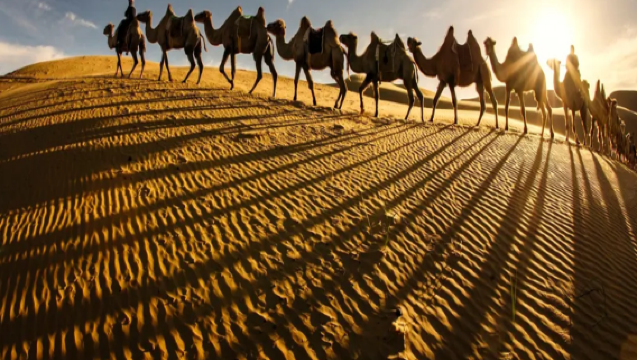 Toàn bộ Nội Mông - Hồi Hột, Ordos, Ulanqab, Hô Luân Bối Nhĩ | Hướng dẫn viên tiếng Trung/Anh (ngôn ngữ khác vui lòng liên hệ CSKH) | Phiên dịch hội chợ/kinh doanh | Tùy chỉnh du lịch