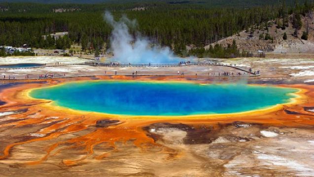 美國博茲曼出發：黃石國家公園一日遊｜中文包車｜行程定制可調