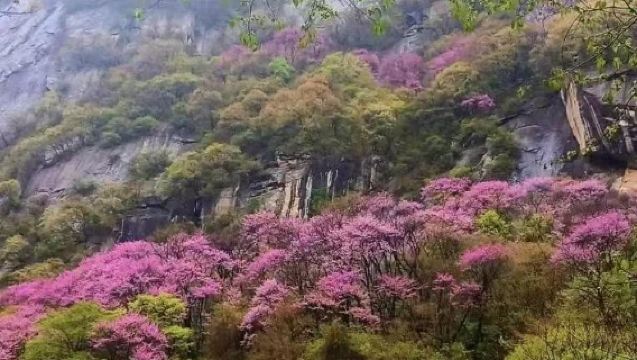太白山國家森林公園一日遊【四季皆美，享受一段太白山的浪漫】