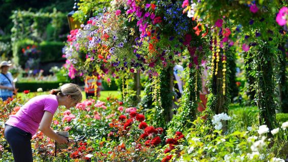 Canadá, Vancouver: Excursión en crucero por las islas del golfo de Victoria y visita a los jardines Butchart | Traslado al hotel