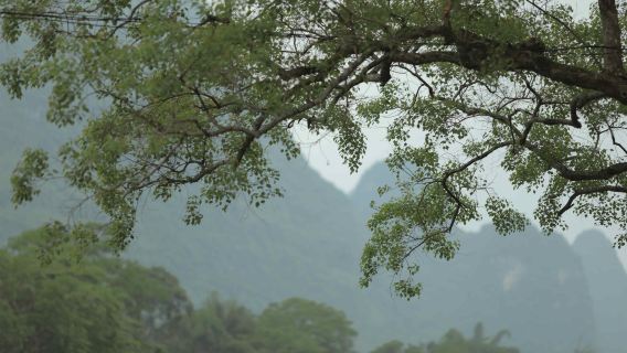 Qishan trip moments[Photography and videography services including family-friendly, individual and couple photos, short videos, promotional videos, portraits, wedding photos with all raw images provided]