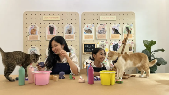 Wildflower studio cat cafe experience