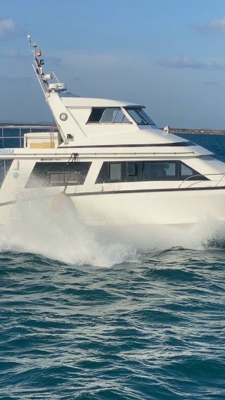 Half-day small-group whale-watching tour in Naha, Okinawa for 12 people | Private charter available | Free experience photos included
