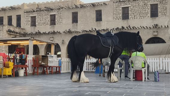 Doha: Private geführte Stadt-Highlights-Tour mit Corniche Dhow Bootsfahrt