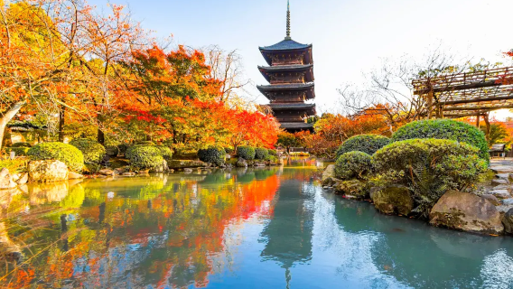 Privatbilcharter i Kyoto: Kinkaku-ji + To-ji + Kamogawa dagsudflugt, afhentning ved døren /justerbar rute