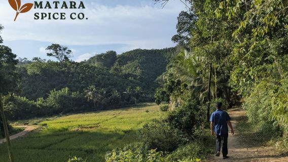 Mirissa: Cinnamon Garden Tour with Peeling Class